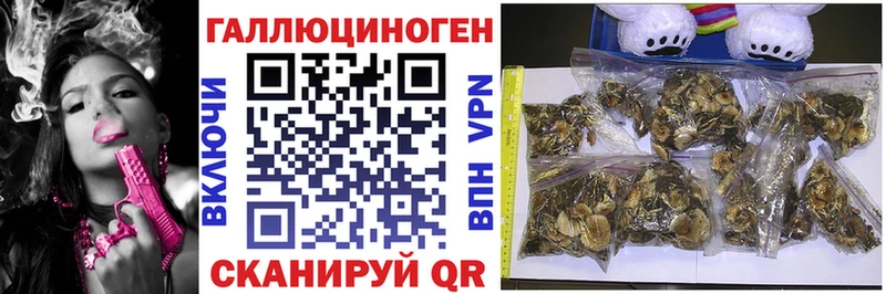 Галлюциногенные грибы мухоморы  Бердск 